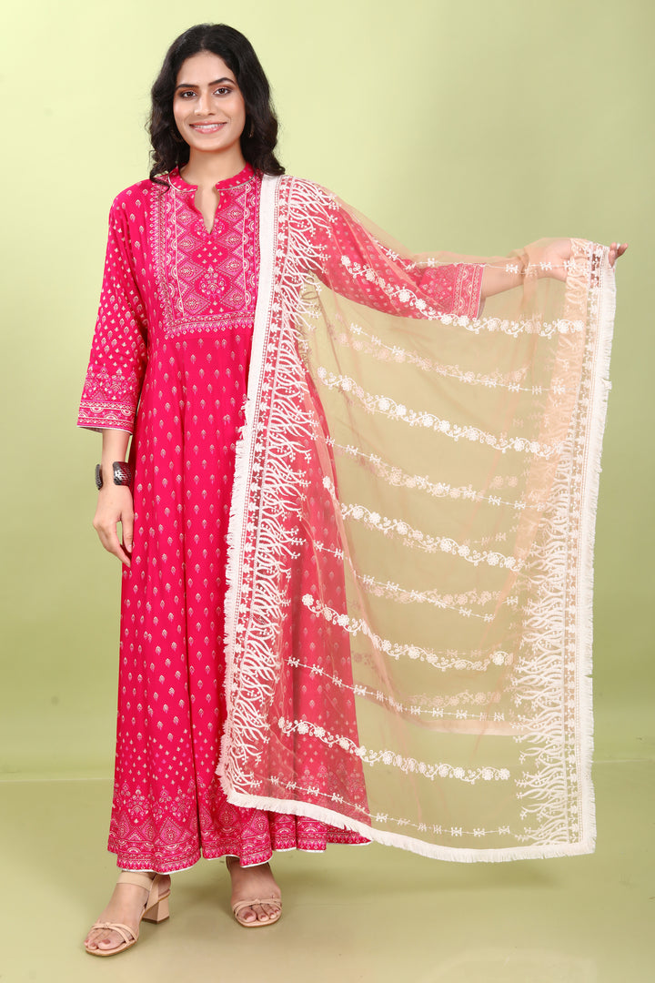 Light Brown Net Embroidered Dupatta