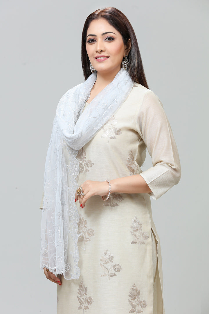 Gray Net Embroidered Dupatta